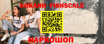 прущие грибы Можга