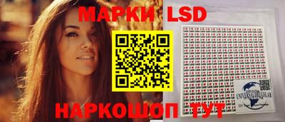 прущие грибы Можга
