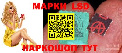 мдма Моздок