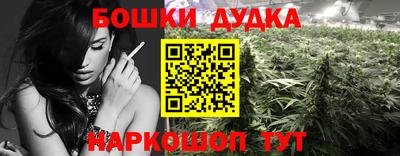 прущие грибы Можга