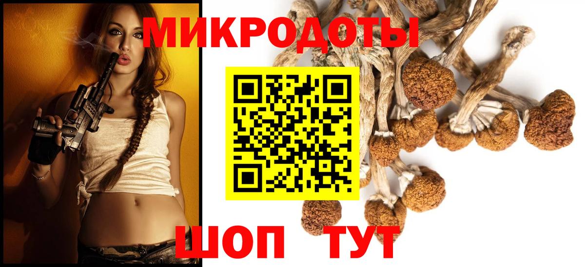 Сунжа  Псилоцибиновые грибы Magic Shrooms  Псилоцибиновые грибы прущие грибы  купить закладку  Вход с VPN 